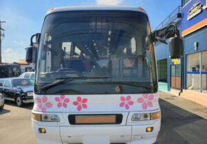 2004 MITSUBISHI Aero Ace