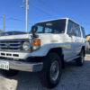2000 TOYOTA land cruiser
